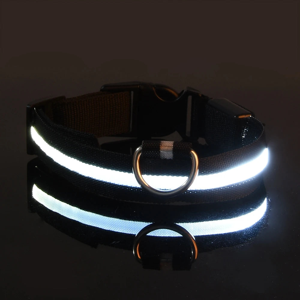 Illuminate Your Night Walks with Our Stylish LED Dog Collar - Safety Meets Fun!