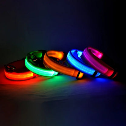 Illuminate Your Night Walks with Our Stylish LED Dog Collar - Safety Meets Fun!