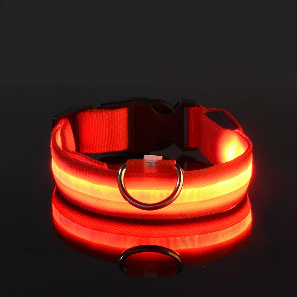 Illuminate Your Night Walks with Our Stylish LED Dog Collar - Safety Meets Fun!