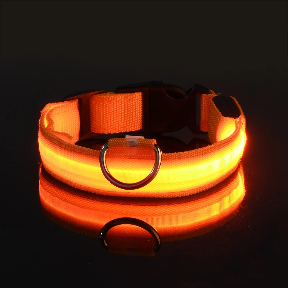 Illuminate Your Night Walks with Our Stylish LED Dog Collar - Safety Meets Fun!