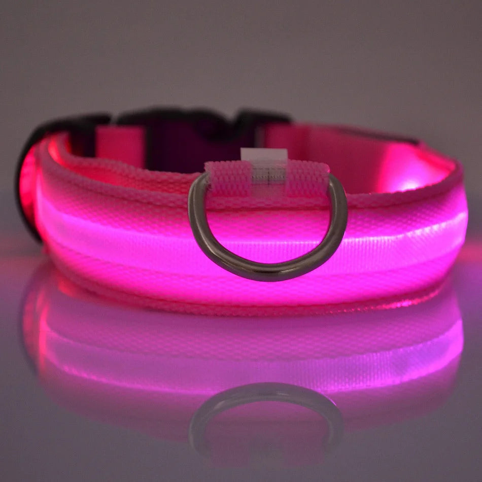 Illuminate Your Night Walks with Our Stylish LED Dog Collar - Safety Meets Fun!