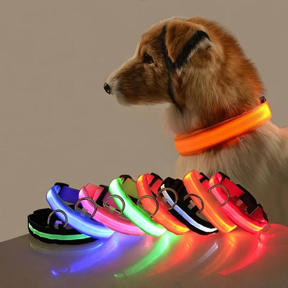 Illuminate Your Night Walks with Our Stylish LED Dog Collar - Safety Meets Fun!