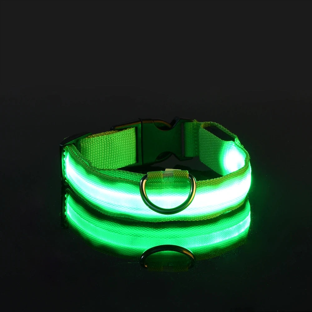 Illuminate Your Night Walks with Our Stylish LED Dog Collar - Safety Meets Fun!