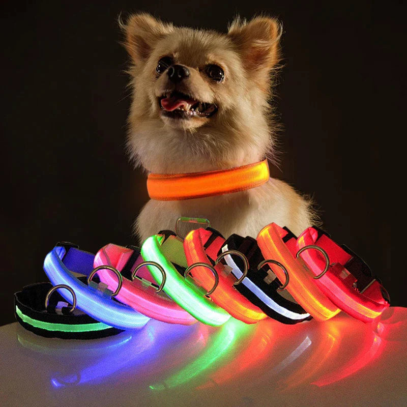 Illuminate Your Dog's Safety: Adjustable LED Dog Collar with Waterproof Design and Blinking Light for Nighttime Visibility