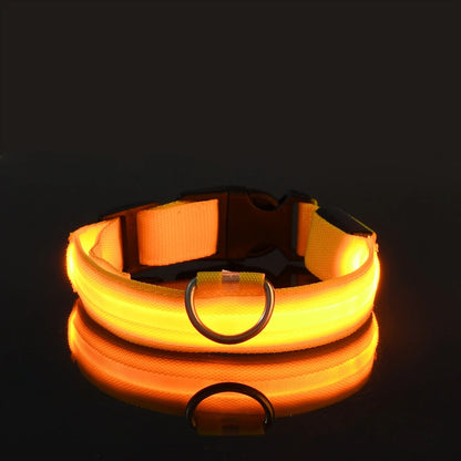 Illuminate Your Night Walks with Our Stylish LED Dog Collar - Safety Meets Fun!
